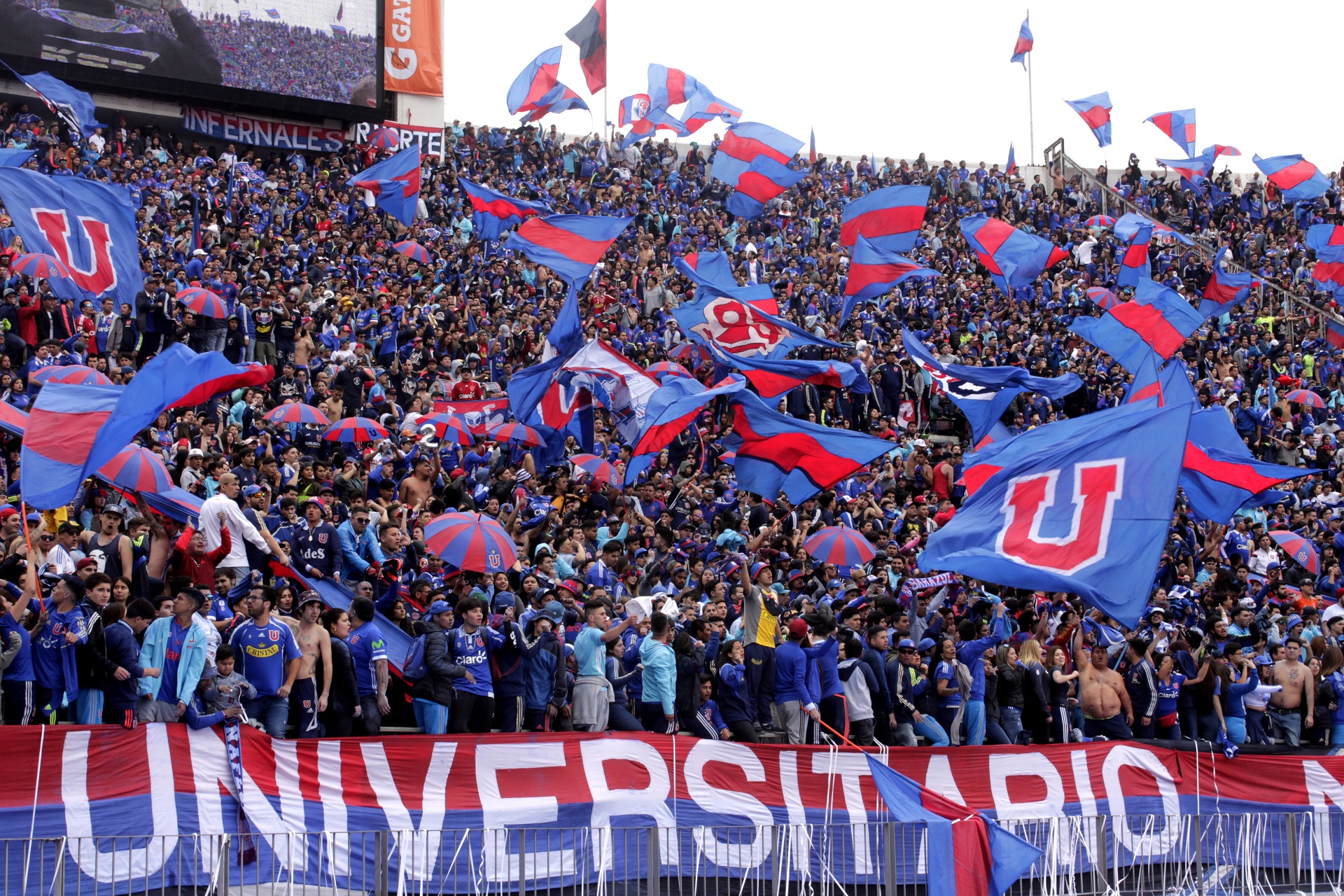 Los de abajo